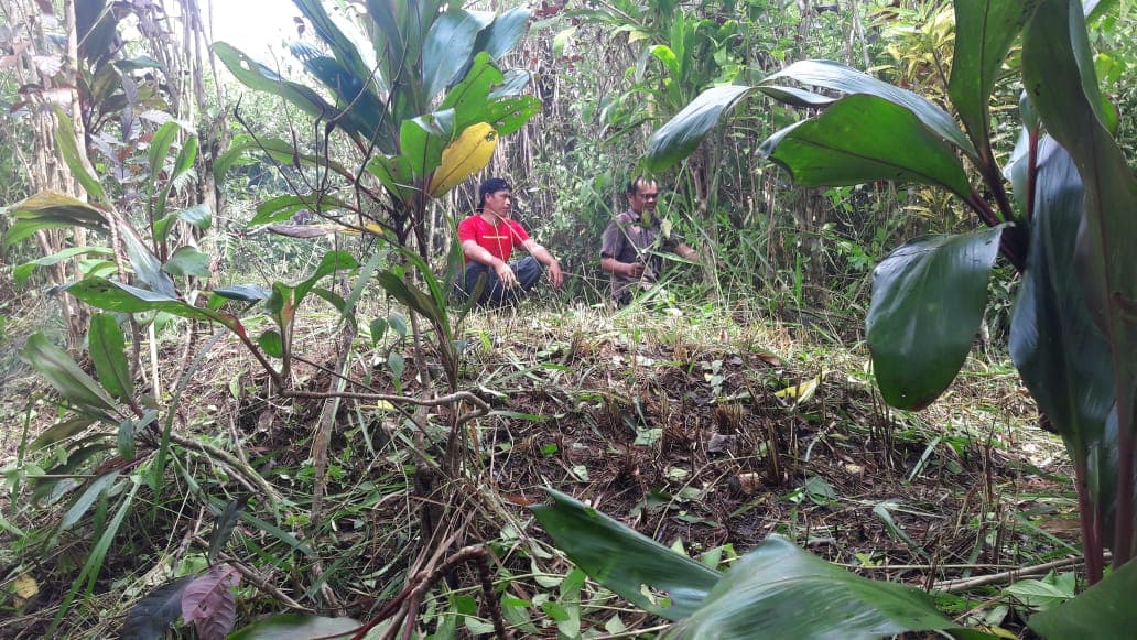 Pensioenfondsen beleggen meer in Europa en minder in de VS