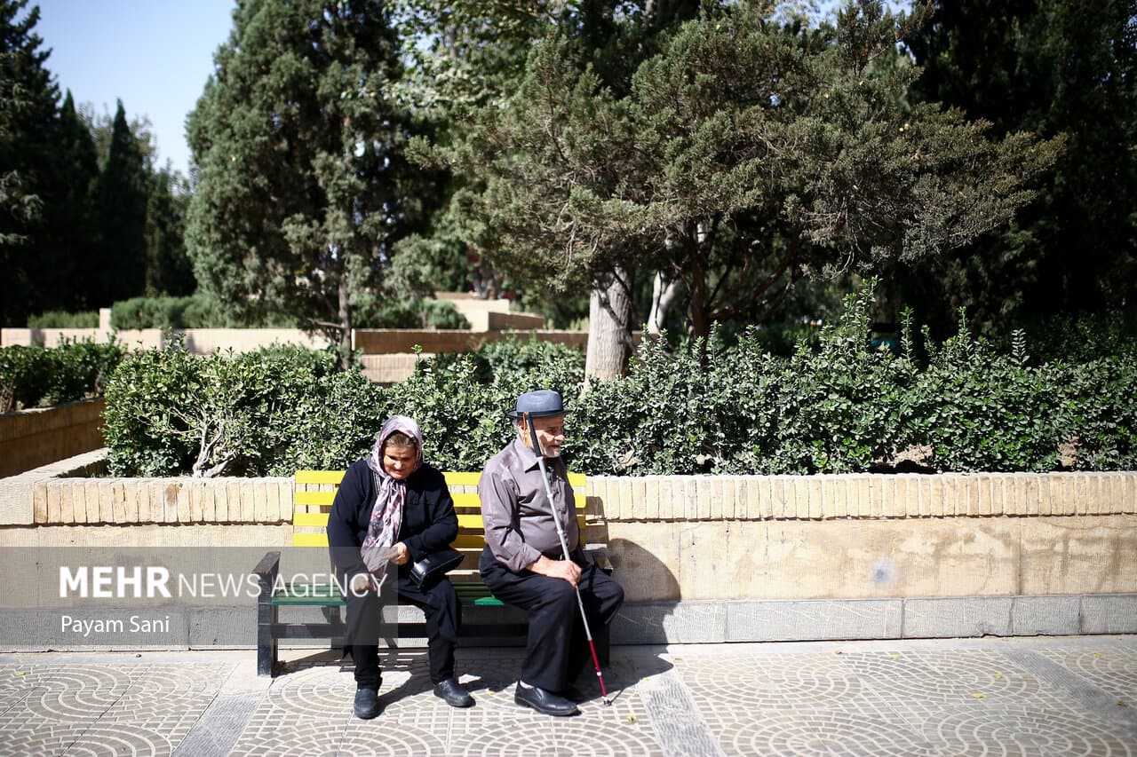 Minder hennepkwekerijen opgerold in 2023, grootste daling in Limburg