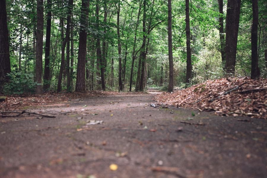 Onderzoek naar effectiviteit van 'tapping' bij psychische problemen