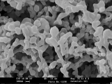 Nieuwsuur bespreekt medische hulpmiddelen, looksmaxxing en AI