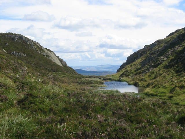 Ree gered na vast te zitten in hek