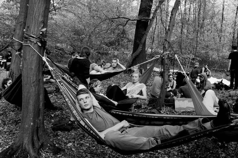 Onderzoek naar strafbaarstelling van ecocide