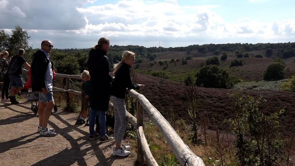 Posbank introduceert slagbomen en betaald parkeren tegen drukte