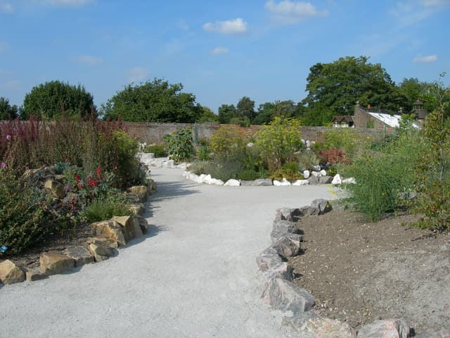 Tuinman Martin pleit voor meer groen in tuinen