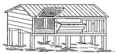 Konijn Herbie wordt oudste ter wereld met 15 jaar