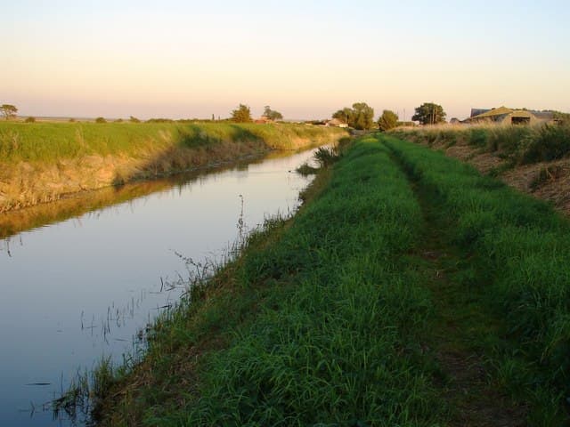 Auto belandt in sloot langs A15 bij Meteren