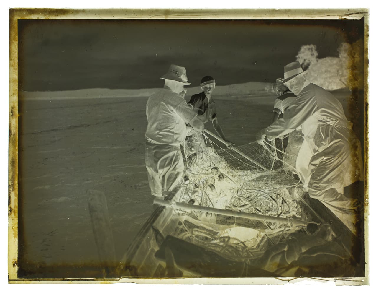 Risico op totaal vangstverbod voor overbeviste makreel