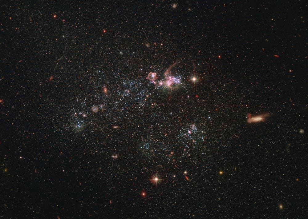 Vriendin duwt Gijs Staverman tijdens huwelijksaanzoek