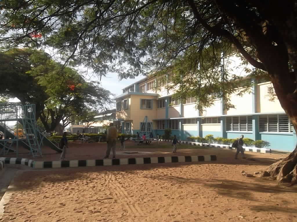Tilburgse studenten bouwen school in Gambia na 7500 km roadtrip