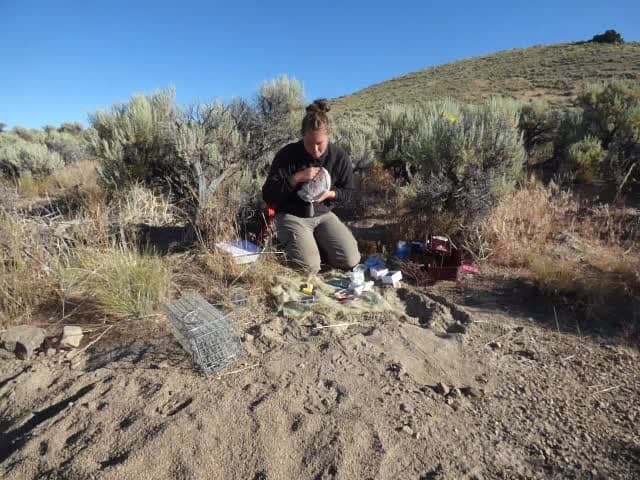Invloed van slaap en stress op examenprestaties
