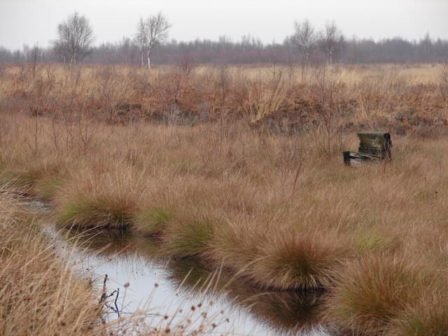 Consumentenbond: potgrond met turf schaadt natuur en klimaat